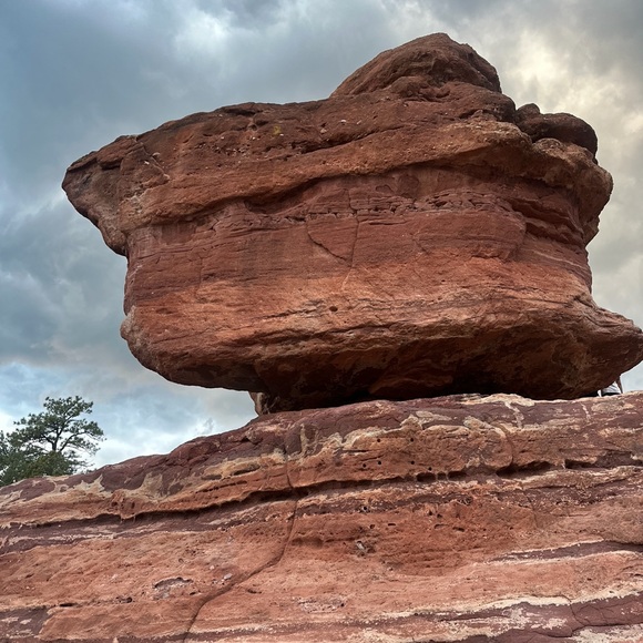 Meet your Posher, Marley - Picture 9 of 11